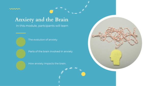 Module 1: Anxiety and the Brain